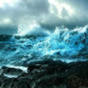 Meet your Posher, Angel